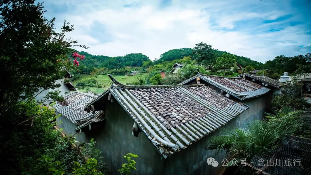 普洱景东大街镇三营村碱水组:哀牢山中茶叶与土陶写下的山野慢生活 - 第17张 - 念山川旅行 普洱景东大街镇三营村碱水组:哀牢山中茶叶与土陶写下的山野慢生活 - 第17张