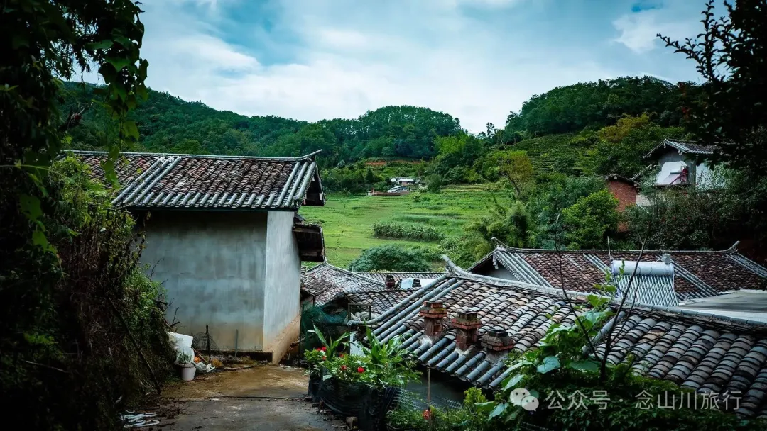 普洱景东大街镇三营村碱水组:哀牢山中茶叶与土陶写下的山野慢生活 - 第18张 - 念山川旅行 普洱景东大街镇三营村碱水组:哀牢山中茶叶与土陶写下的山野慢生活 - 第18张