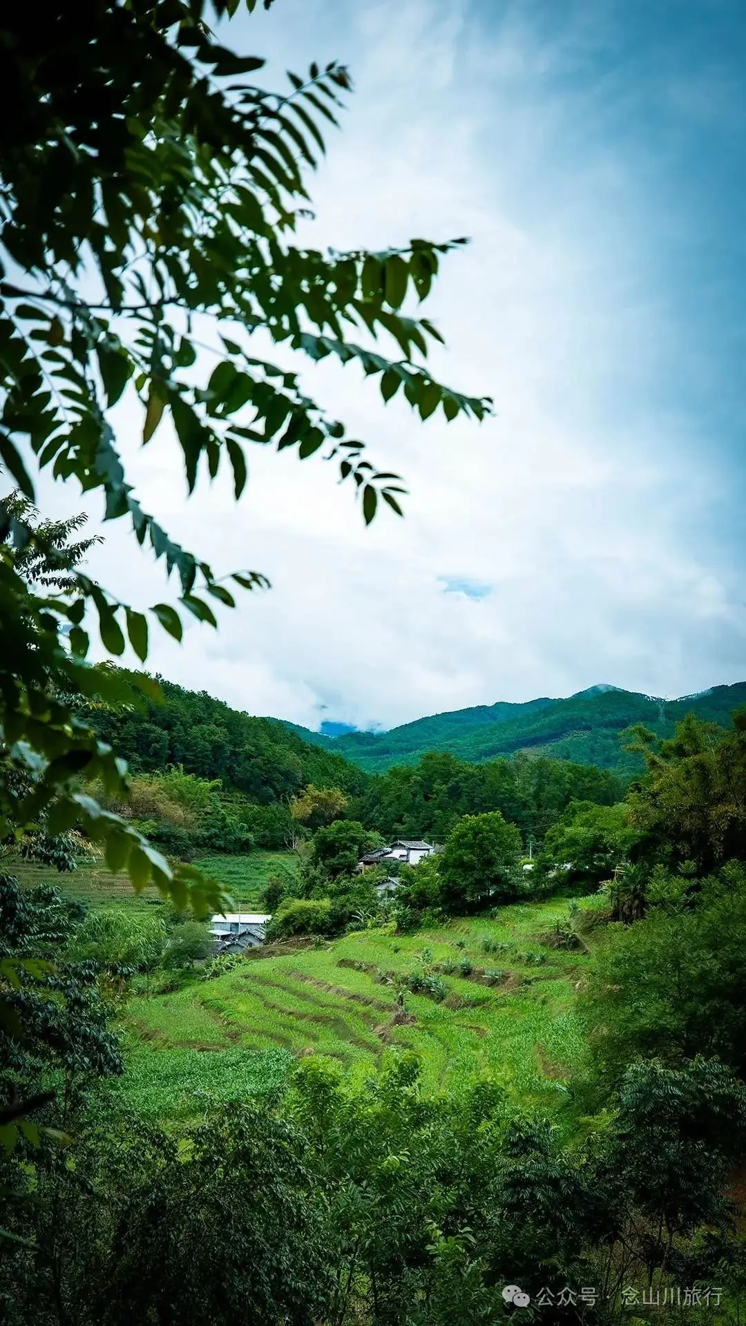 普洱景东大街镇三营村碱水组:哀牢山中茶叶与土陶写下的山野慢生活 - 第24张 - 念山川旅行 普洱景东大街镇三营村碱水组:哀牢山中茶叶与土陶写下的山野慢生活 - 第24张