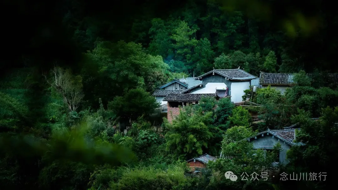 普洱景东大街镇三营村碱水组:哀牢山中茶叶与土陶写下的山野慢生活 - 第4张 - 念山川旅行 普洱景东大街镇三营村碱水组:哀牢山中茶叶与土陶写下的山野慢生活 - 第4张