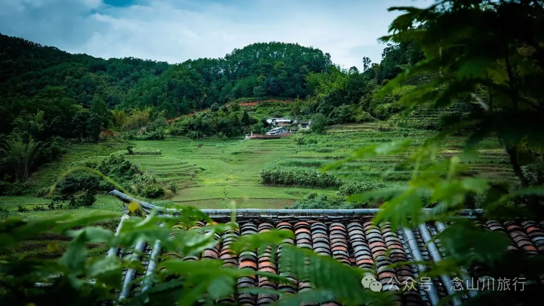 普洱景东大街镇三营村碱水组:哀牢山中茶叶与土陶写下的山野慢生活 - 第5张 - 念山川旅行 普洱景东大街镇三营村碱水组:哀牢山中茶叶与土陶写下的山野慢生活 - 第5张
