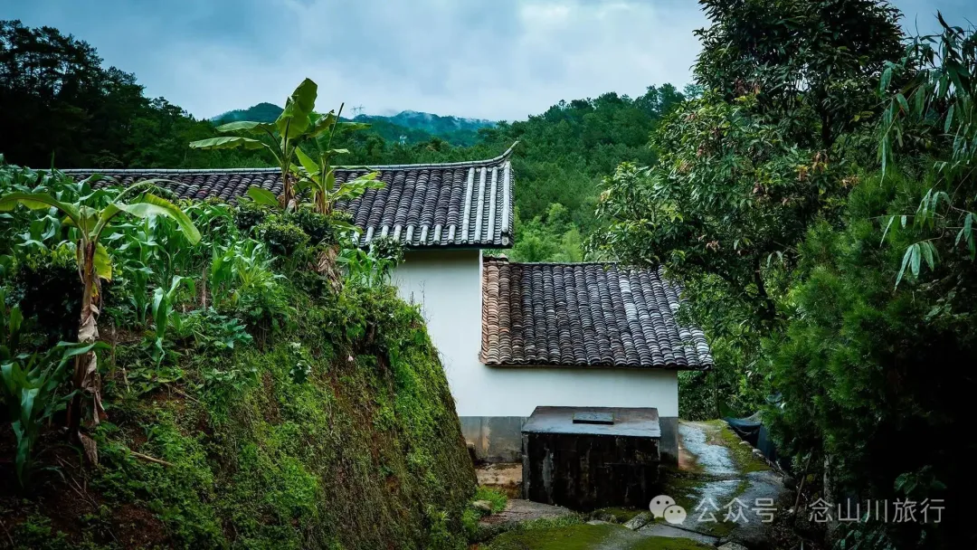 普洱景东大街镇三营村碱水组:哀牢山中茶叶与土陶写下的山野慢生活 - 第8张 - 念山川旅行 普洱景东大街镇三营村碱水组:哀牢山中茶叶与土陶写下的山野慢生活 - 第8张