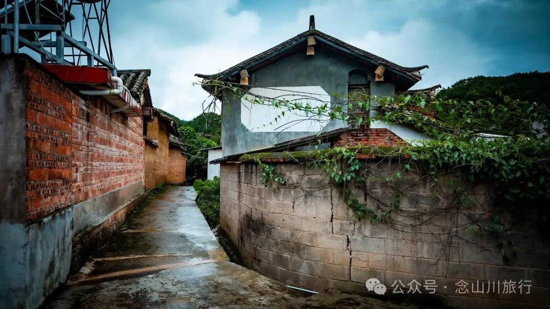 普洱景东大街镇三营村碱水组:哀牢山中茶叶与土陶写下的山野慢生活 - 第9张 - 念山川旅行 普洱景东大街镇三营村碱水组:哀牢山中茶叶与土陶写下的山野慢生活 - 第9张