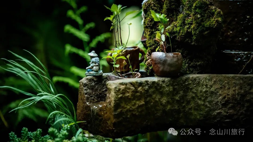 普洱景东陶缘居土陶制作技艺非遗工坊:乡愁是待烧的陶坯,理想是第四道茶汤 - 第2张 - 念山川旅行 普洱景东陶缘居土陶制作技艺非遗工坊:乡愁是待烧的陶坯,理想是第四道茶汤 - 第2张