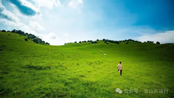 大理宾川杨柳村草甸:当游客挤满大理古城时,我们却闯入了宫崎骏忘记收笔的夏天