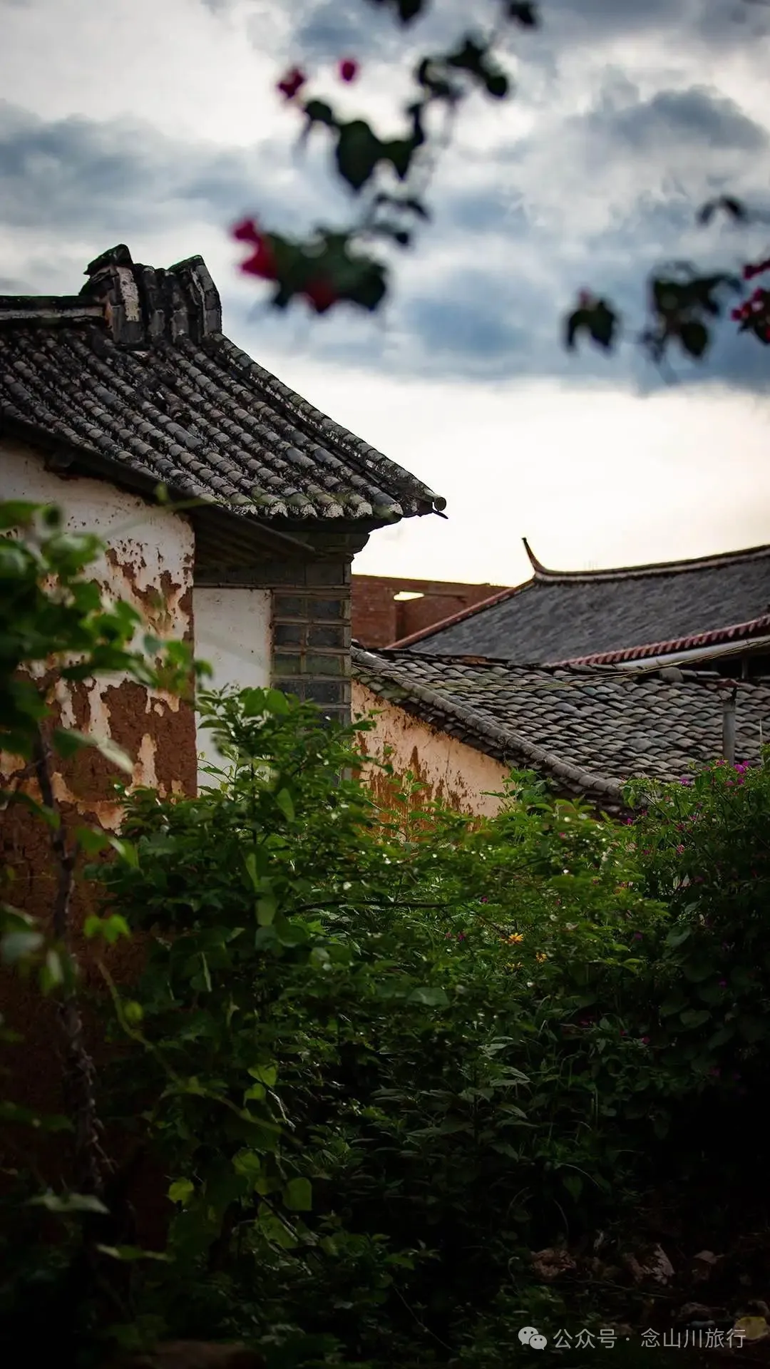 鲜透整个雨季!大禾里村的野生菌开席了 - 第30张 - 念山川旅行 鲜透整个雨季!大禾里村的野生菌开席了 - 第30张