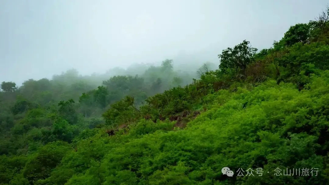 “你有没有见过萤火虫?”——黑惠江畔的露营之夜改写了他们的童年 - 第12张 - 念山川旅行 “你有没有见过萤火虫?”——黑惠江畔的露营之夜改写了他们的童年 - 第12张