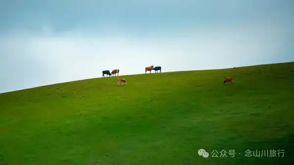 徒步大理洱源鸟吊山:99%的攻略止于湖边,真正的“阿勒泰”藏在看不见的深山里