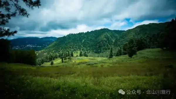徒步小塘子村与大黄草坝村之间的夏日山野