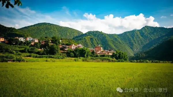 大理云龙庄坪村：在太极图上种水稻，在稻尖上读春秋