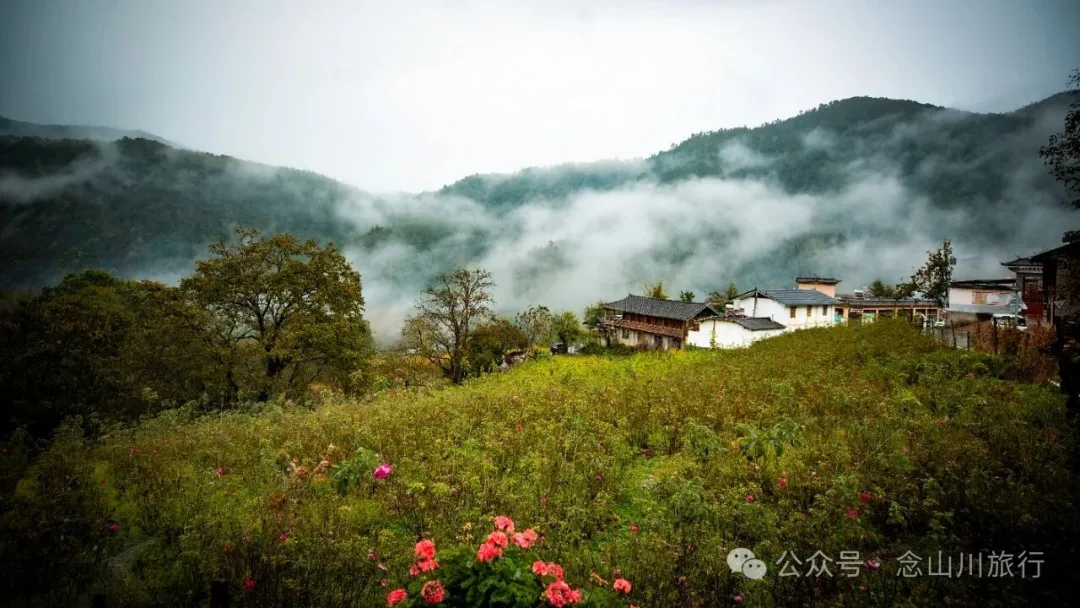 巴珠村深秋的雨里，有别样的江南水墨印象 - 第11张