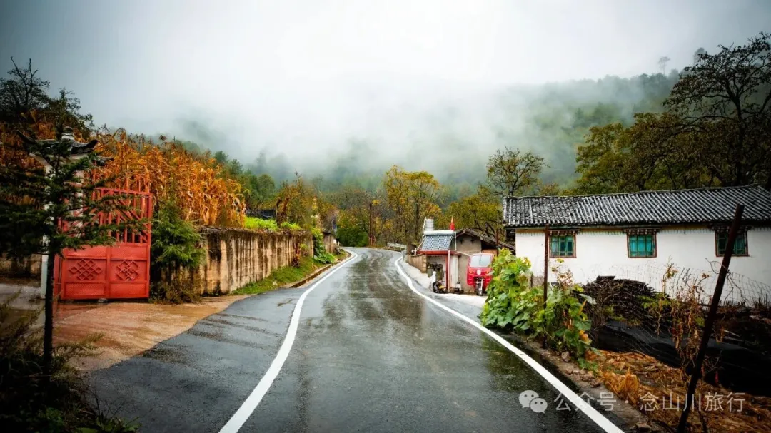 巴珠村深秋的雨里，有别样的江南水墨印象 - 第14张