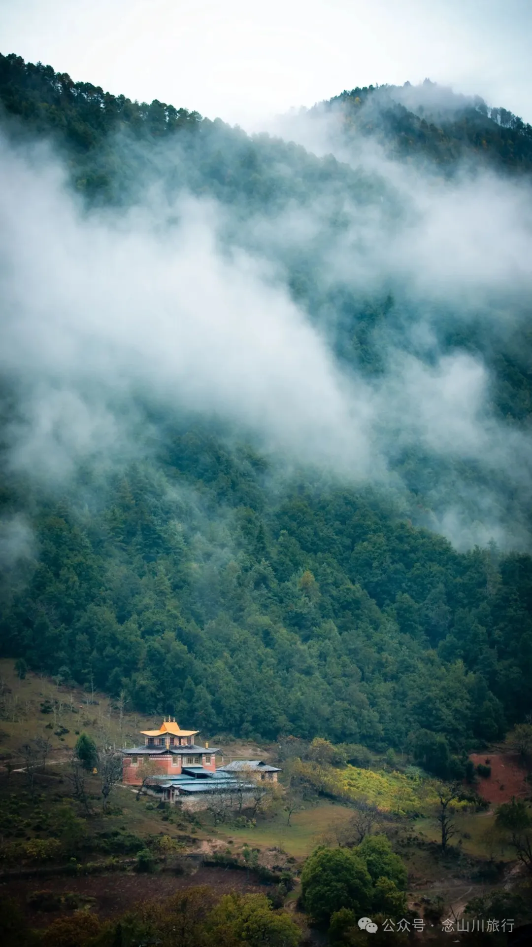 巴珠村深秋的雨里，有别样的江南水墨印象 - 第15张