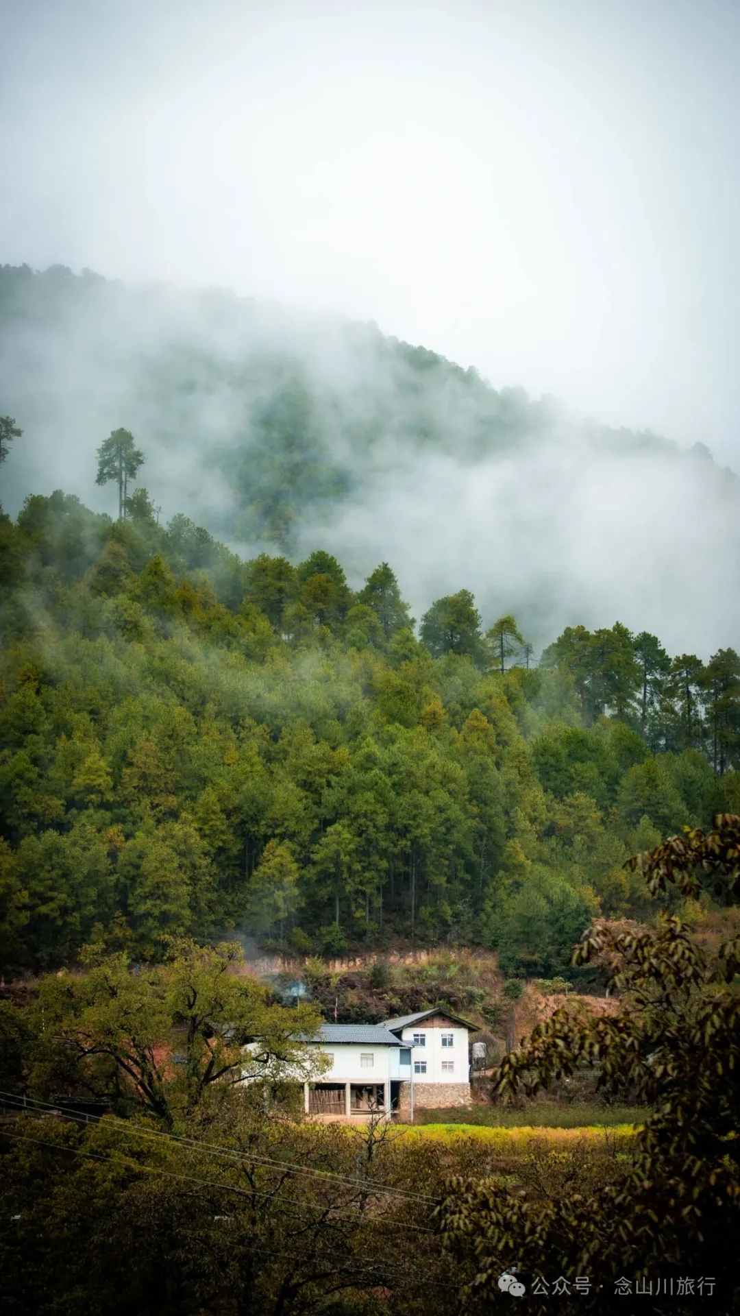 巴珠村深秋的雨里，有别样的江南水墨印象 - 第16张