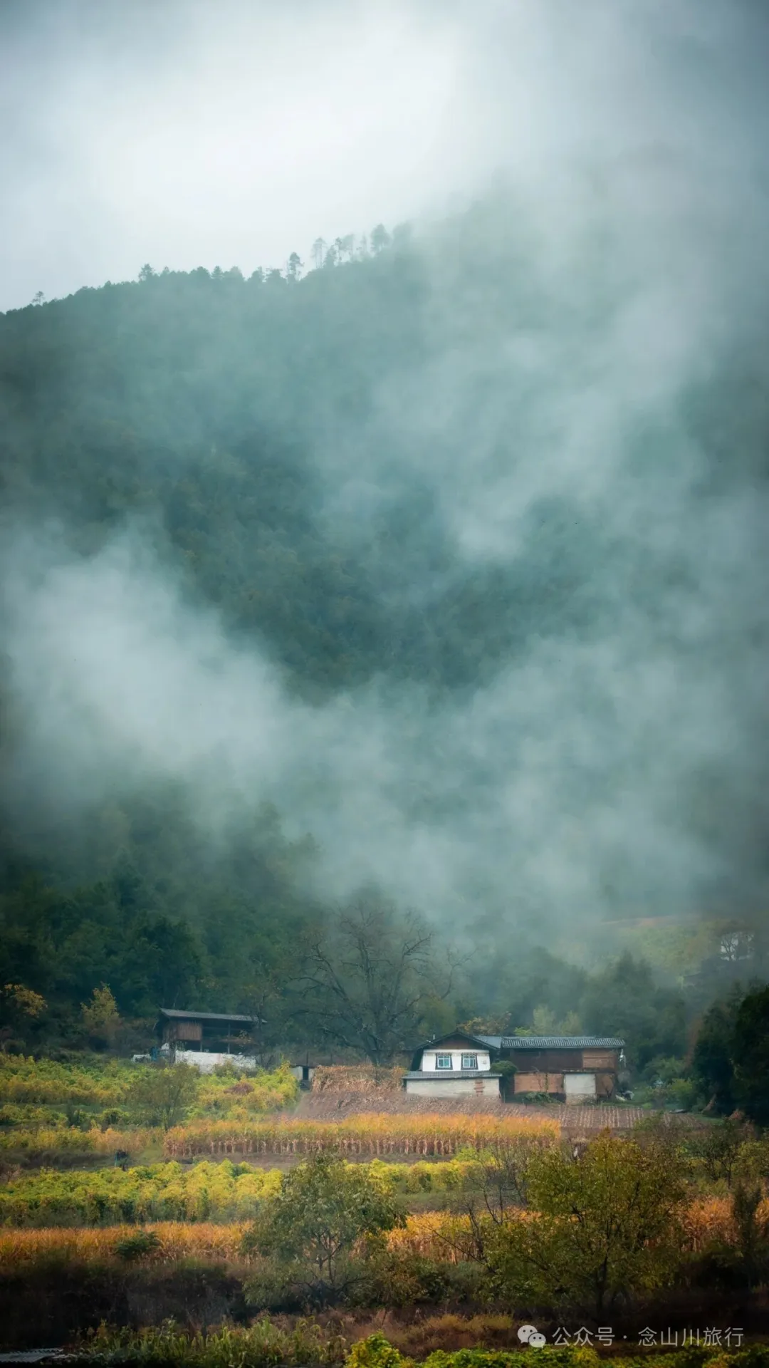 巴珠村深秋的雨里，有别样的江南水墨印象 - 第18张