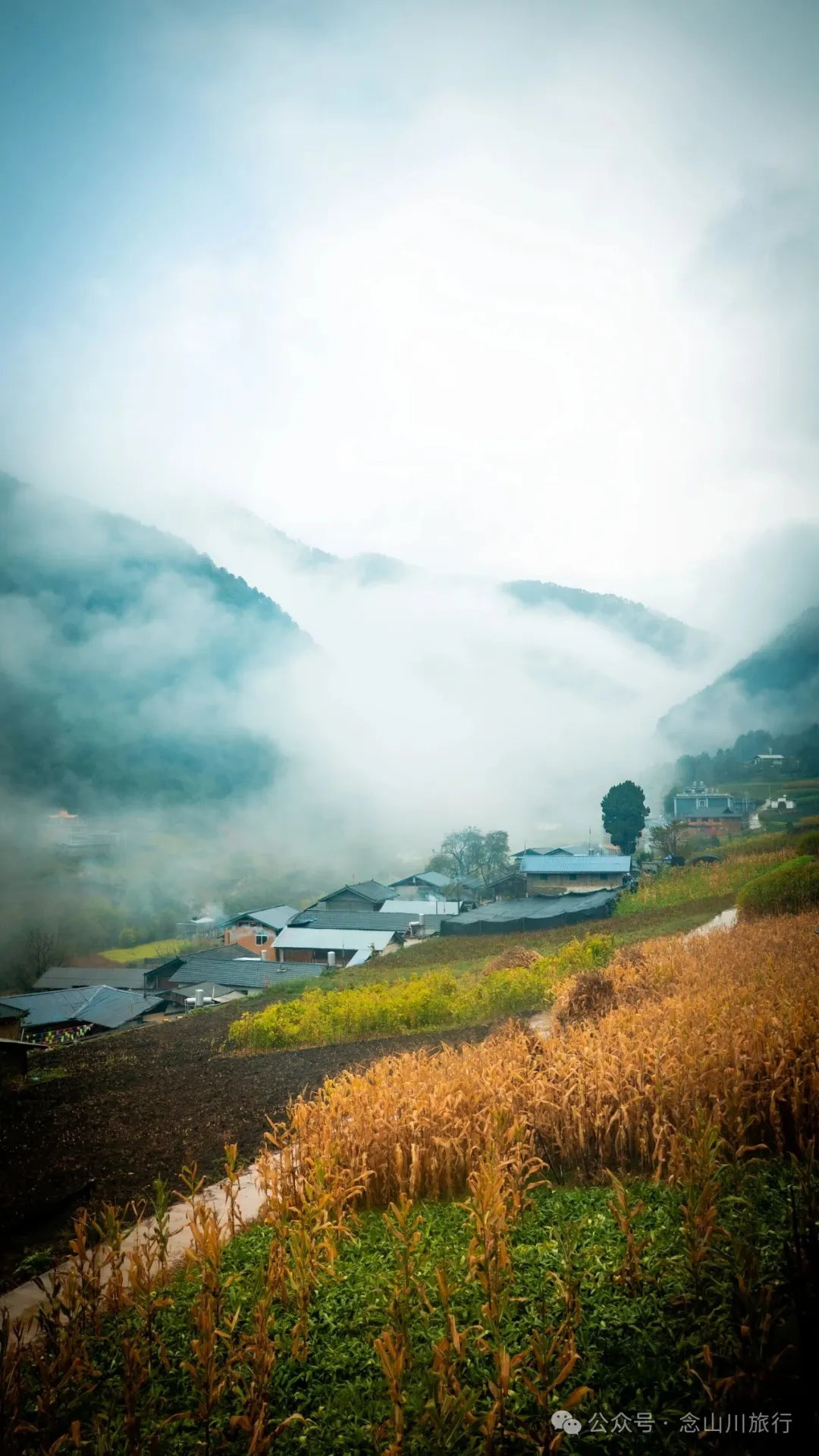 巴珠村深秋的雨里，有别样的江南水墨印象 - 第19张