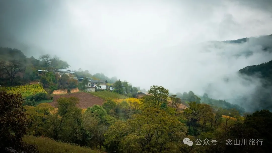 巴珠村深秋的雨里，有别样的江南水墨印象 - 第2张