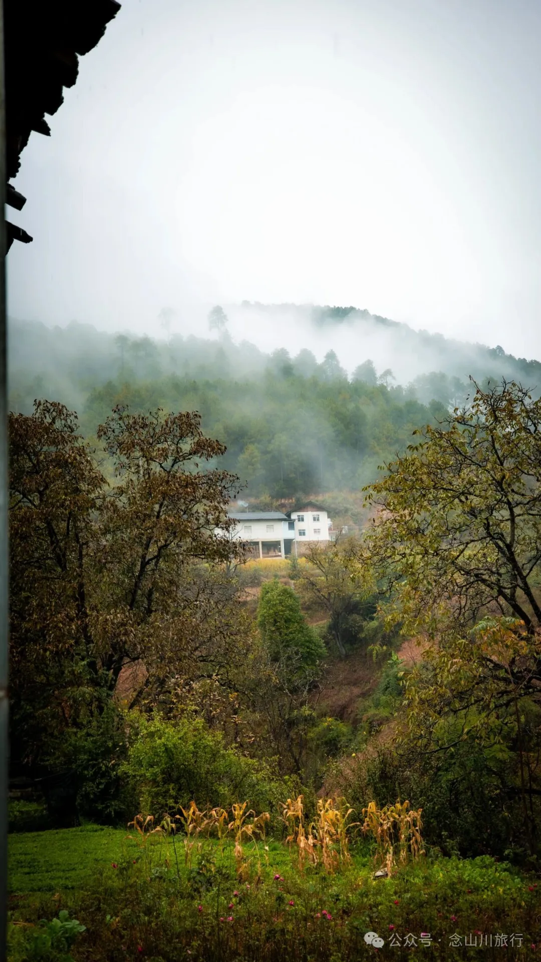 巴珠村深秋的雨里，有别样的江南水墨印象 - 第20张
