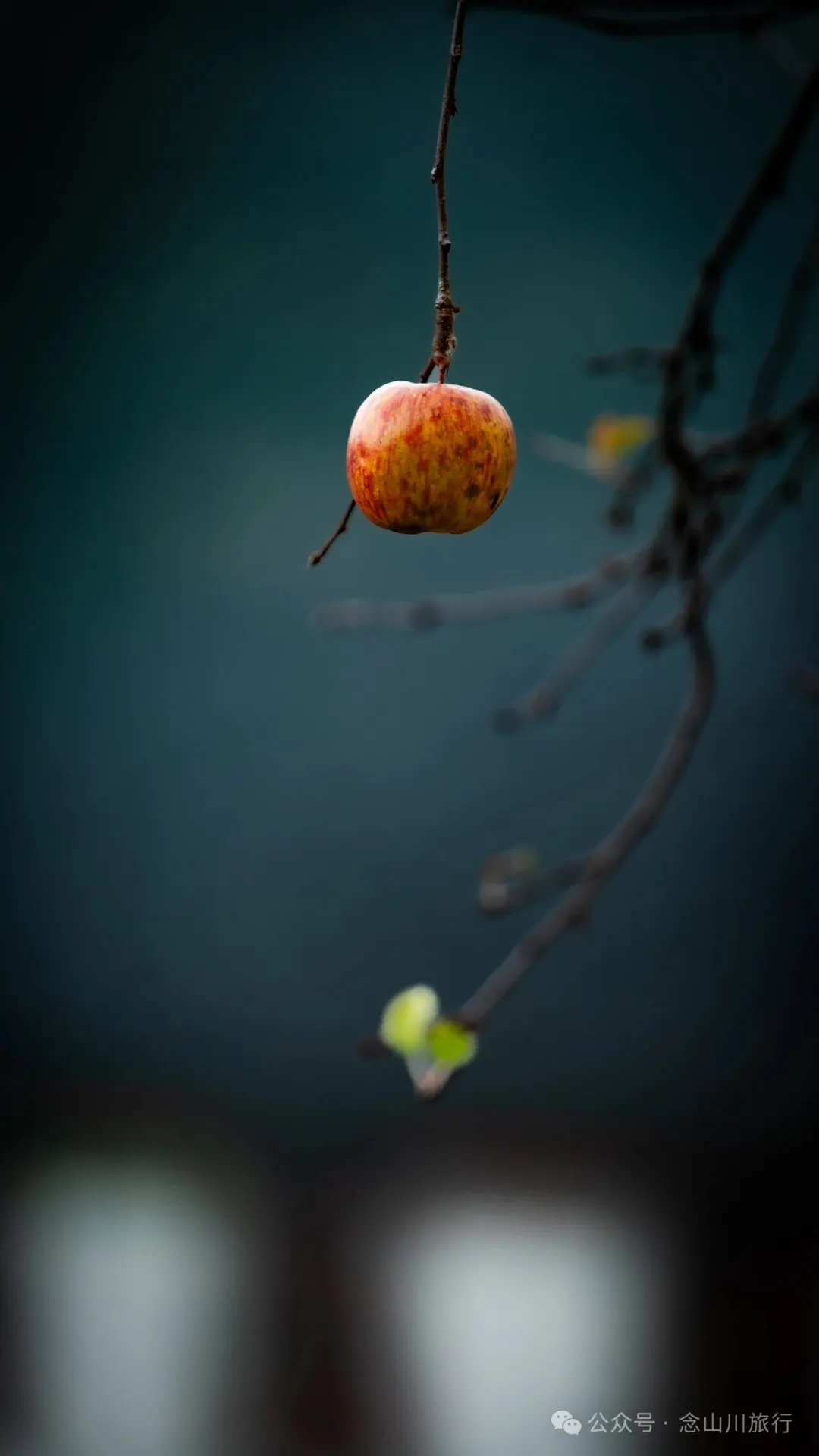 巴珠村深秋的雨里，有别样的江南水墨印象 - 第23张
