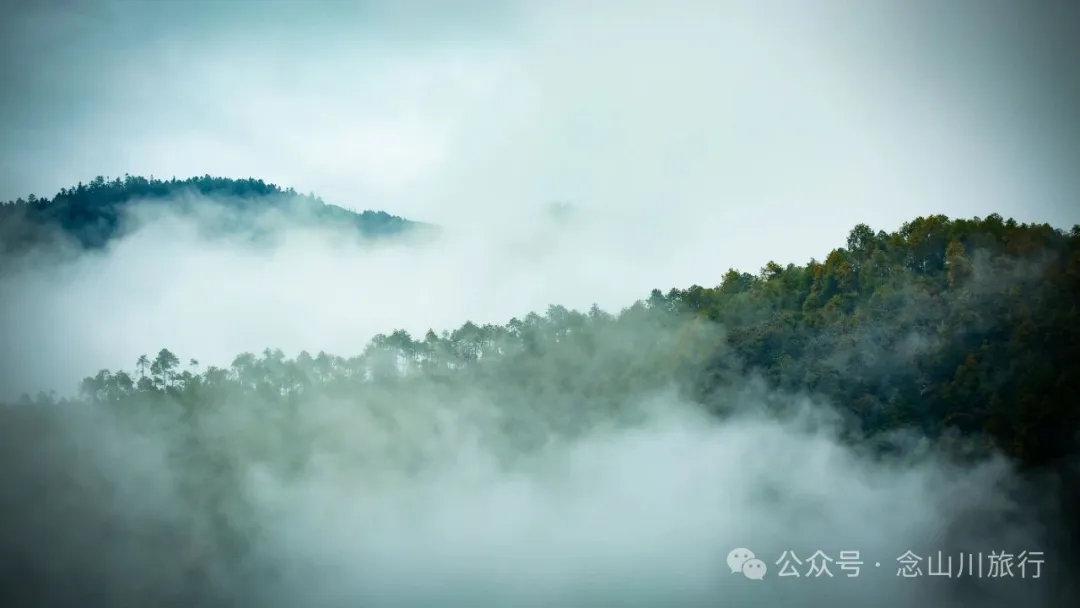 巴珠村深秋的雨里，有别样的江南水墨印象 - 第3张