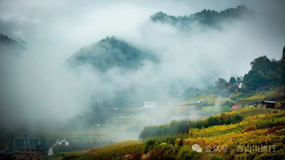 巴珠村深秋的雨里，有别样的江南水墨印象 - 第8张