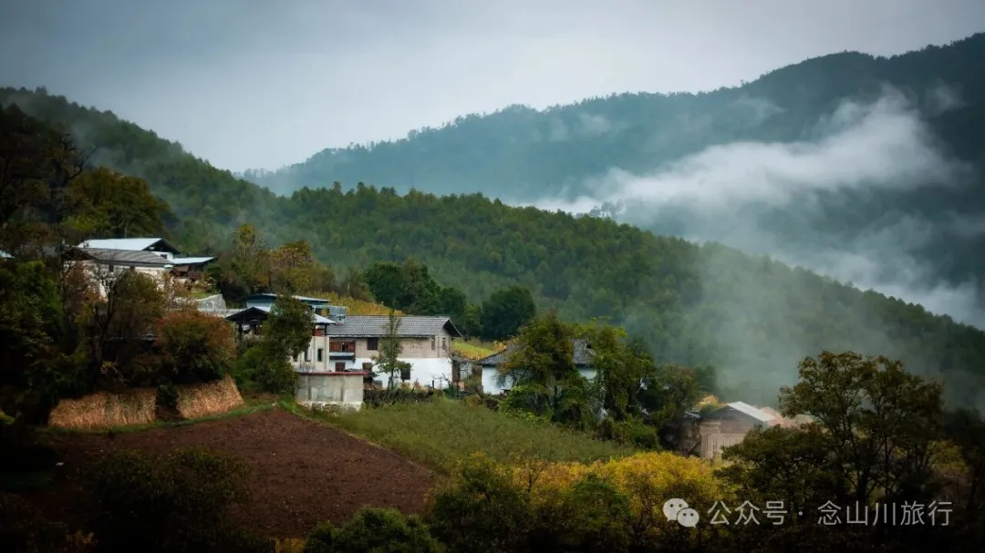巴珠村深秋的雨里，有别样的江南水墨印象 - 第9张