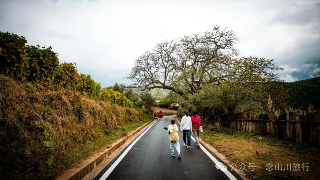 静坐云间的藏族村落，深秋偏遇一场烂漫花开 - 第12张