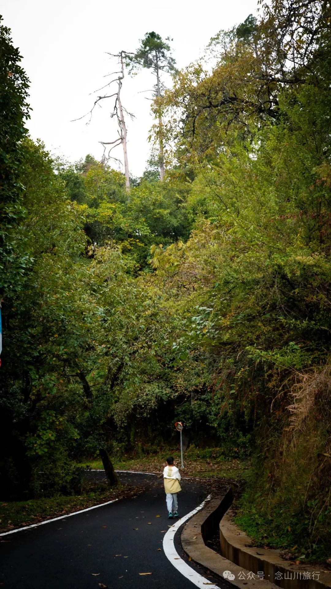 静坐云间的藏族村落，深秋偏遇一场烂漫花开 - 第13张