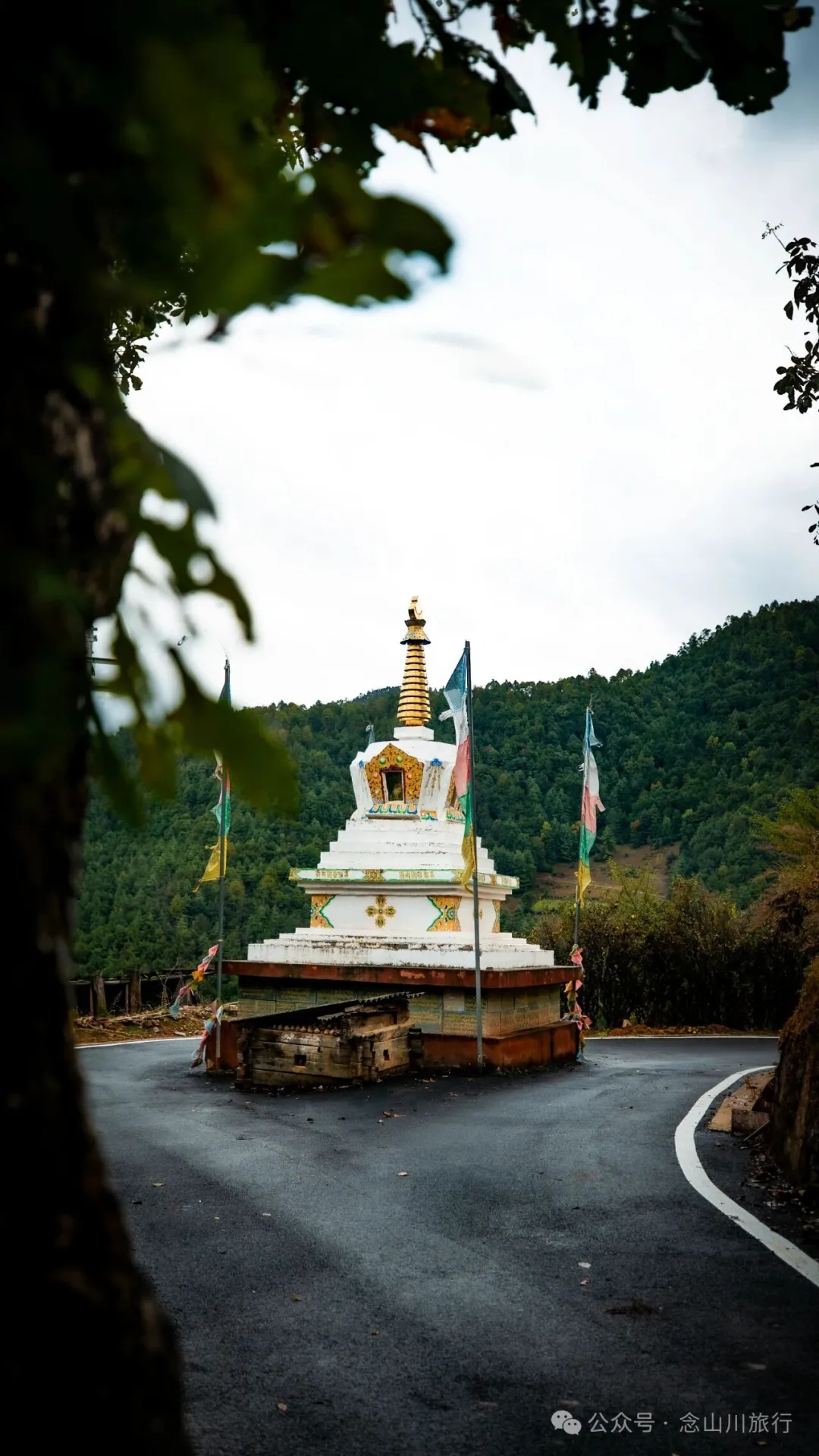静坐云间的藏族村落，深秋偏遇一场烂漫花开 - 第16张