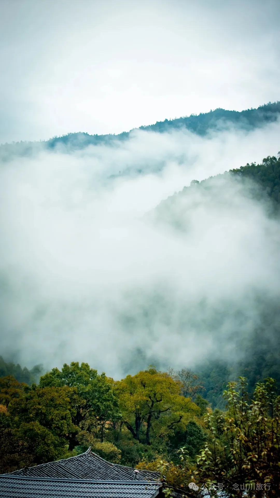 静坐云间的藏族村落，深秋偏遇一场烂漫花开 - 第17张