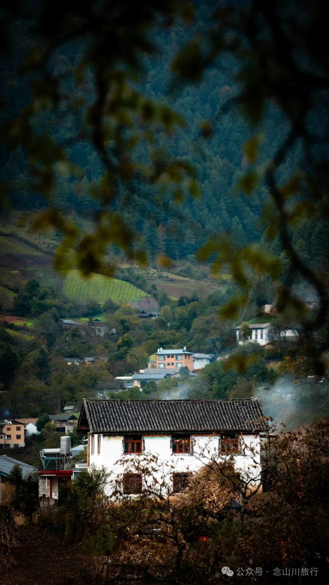 静坐云间的藏族村落，深秋偏遇一场烂漫花开 - 第7张