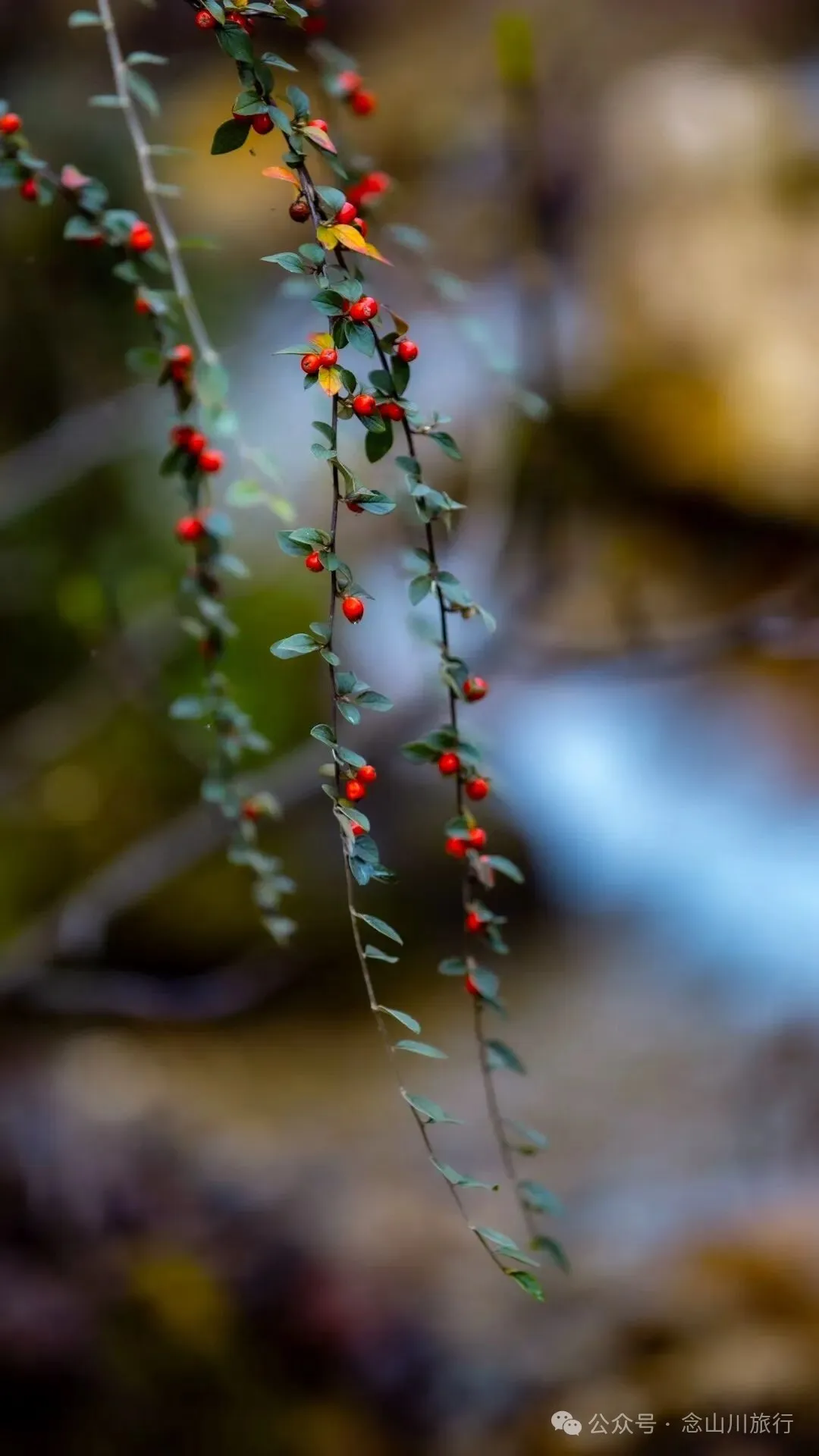 跟着溪流去山野徒步，走进巴珠自然真实的村居生活 - 第12张