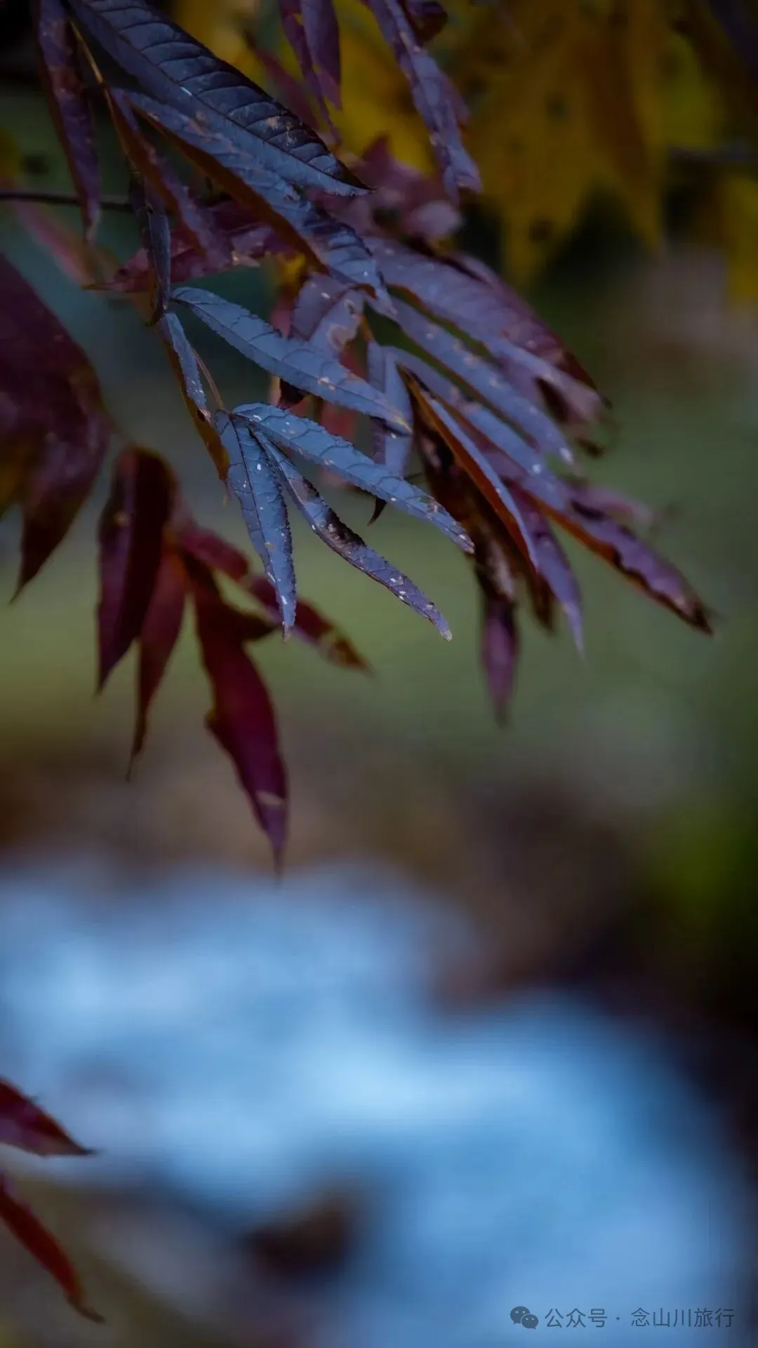 跟着溪流去山野徒步，走进巴珠自然真实的村居生活 - 第13张