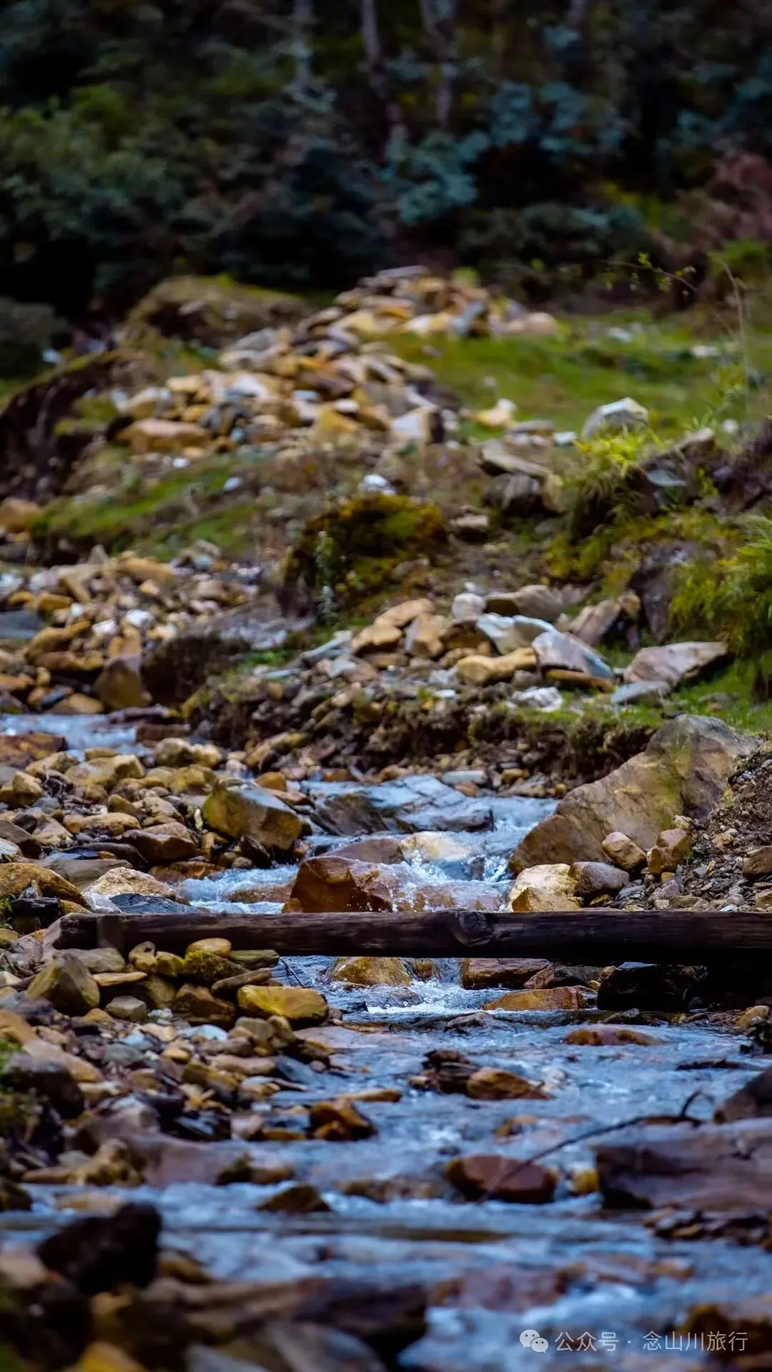 跟着溪流去山野徒步，走进巴珠自然真实的村居生活 - 第15张