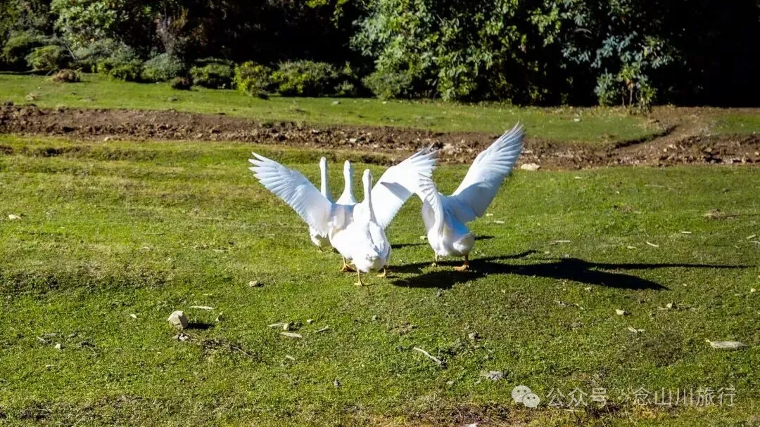 跟着溪流去山野徒步，走进巴珠自然真实的村居生活 - 第21张