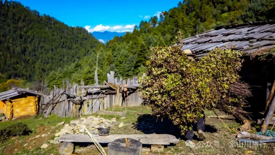 跟着溪流去山野徒步，走进巴珠自然真实的村居生活 - 第22张