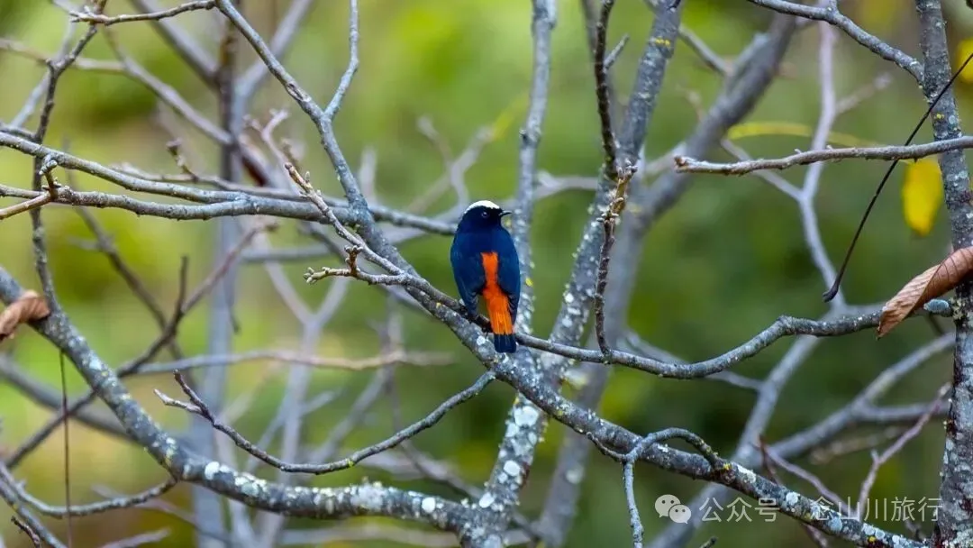 跟着溪流去山野徒步，走进巴珠自然真实的村居生活 - 第4张