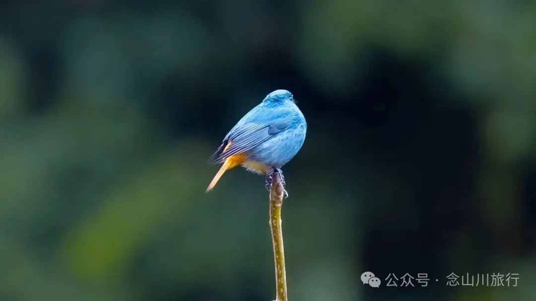 跟着溪流去山野徒步，走进巴珠自然真实的村居生活 - 第5张
