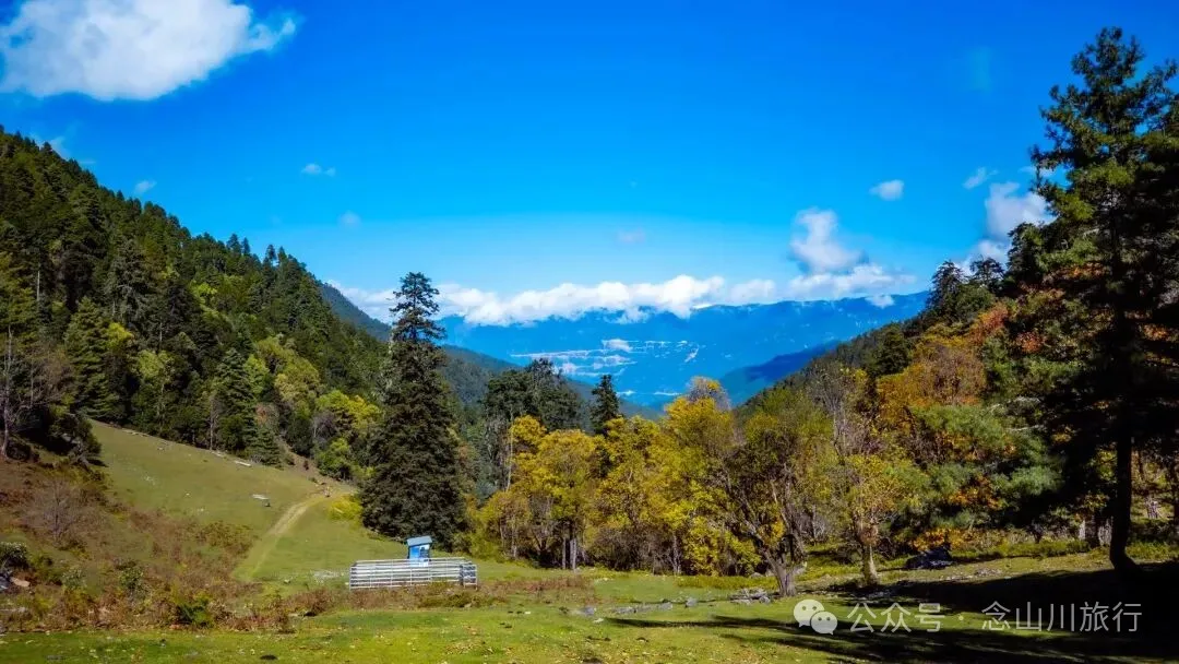 听说了，巴珠村的冬天才是赏秋色的最好时节 - 第10张