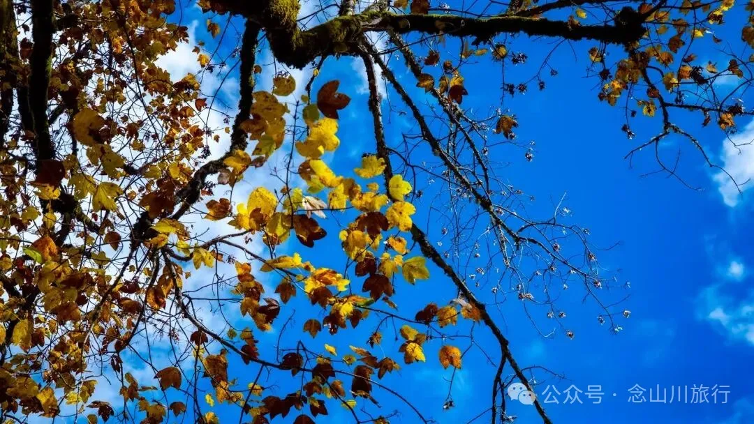听说了，巴珠村的冬天才是赏秋色的最好时节 - 第12张