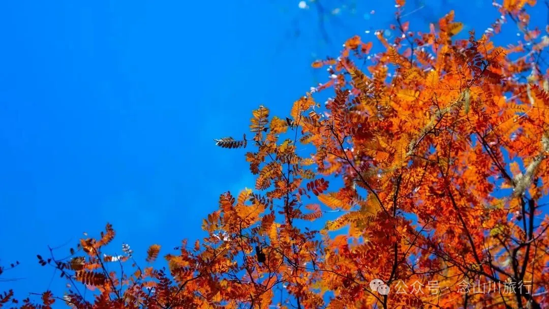 听说了，巴珠村的冬天才是赏秋色的最好时节 - 第13张