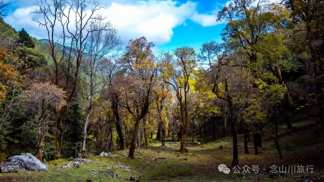 听说了，巴珠村的冬天才是赏秋色的最好时节 - 第14张