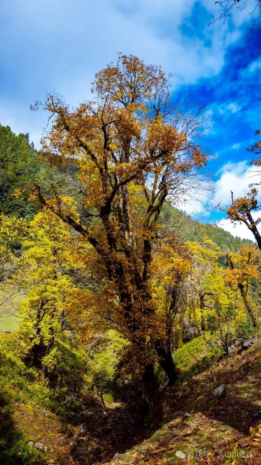 听说了，巴珠村的冬天才是赏秋色的最好时节 - 第15张