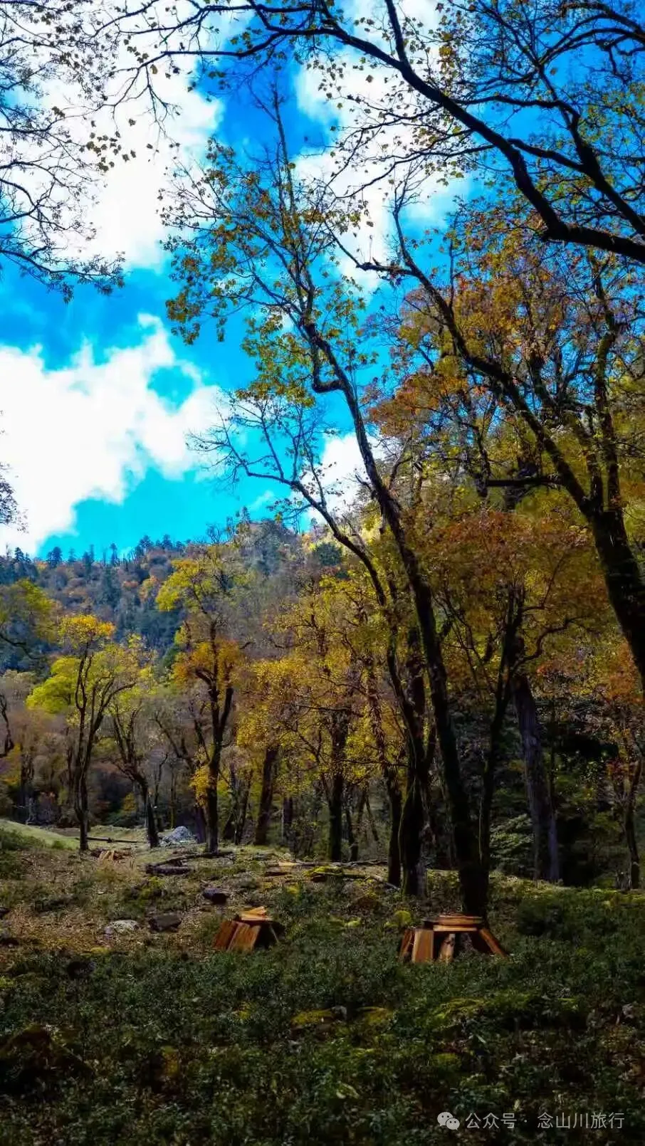 听说了，巴珠村的冬天才是赏秋色的最好时节 - 第17张