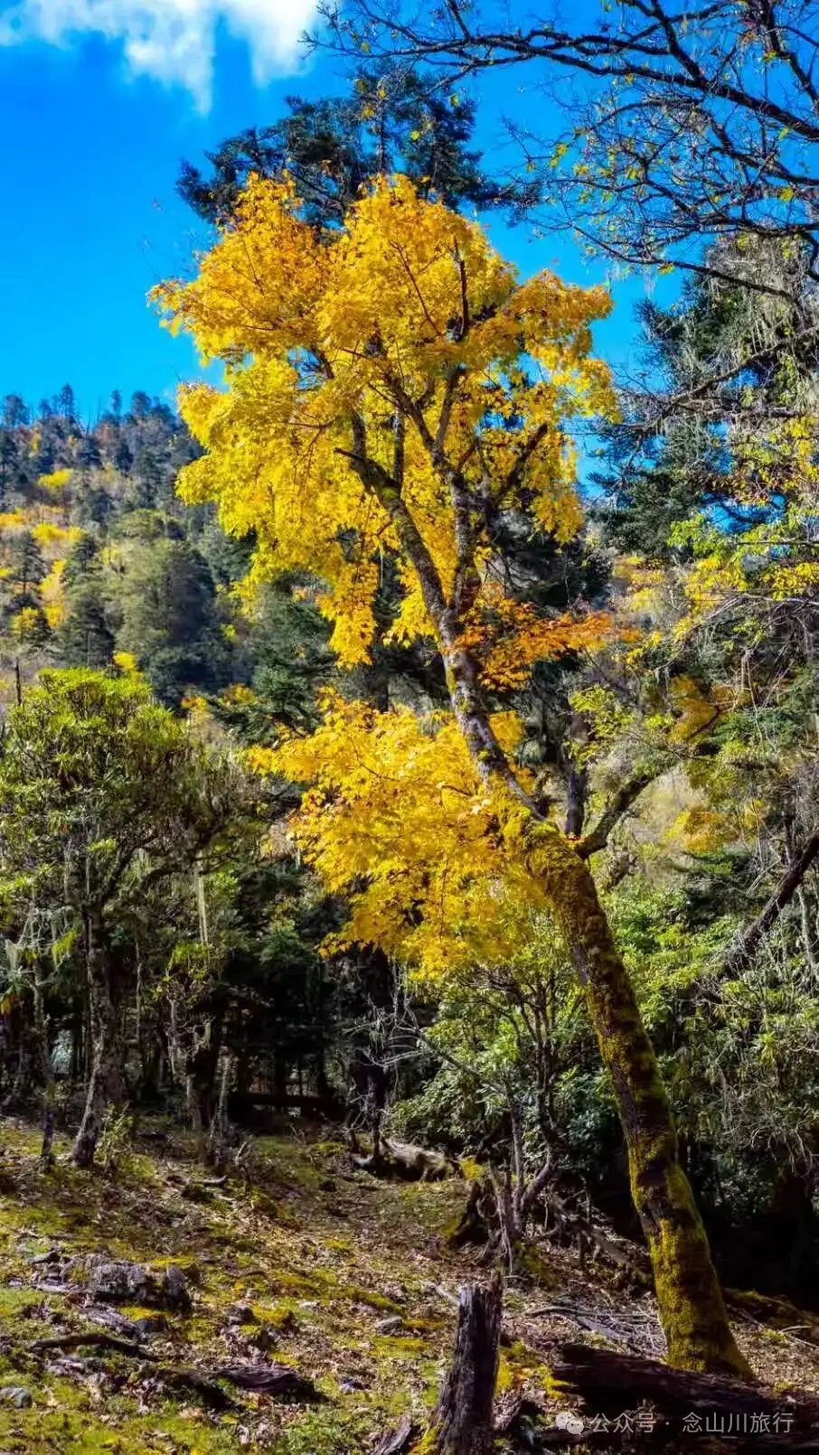 听说了，巴珠村的冬天才是赏秋色的最好时节 - 第18张
