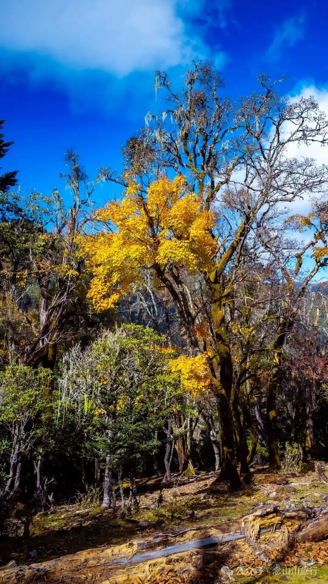 听说了，巴珠村的冬天才是赏秋色的最好时节 - 第19张
