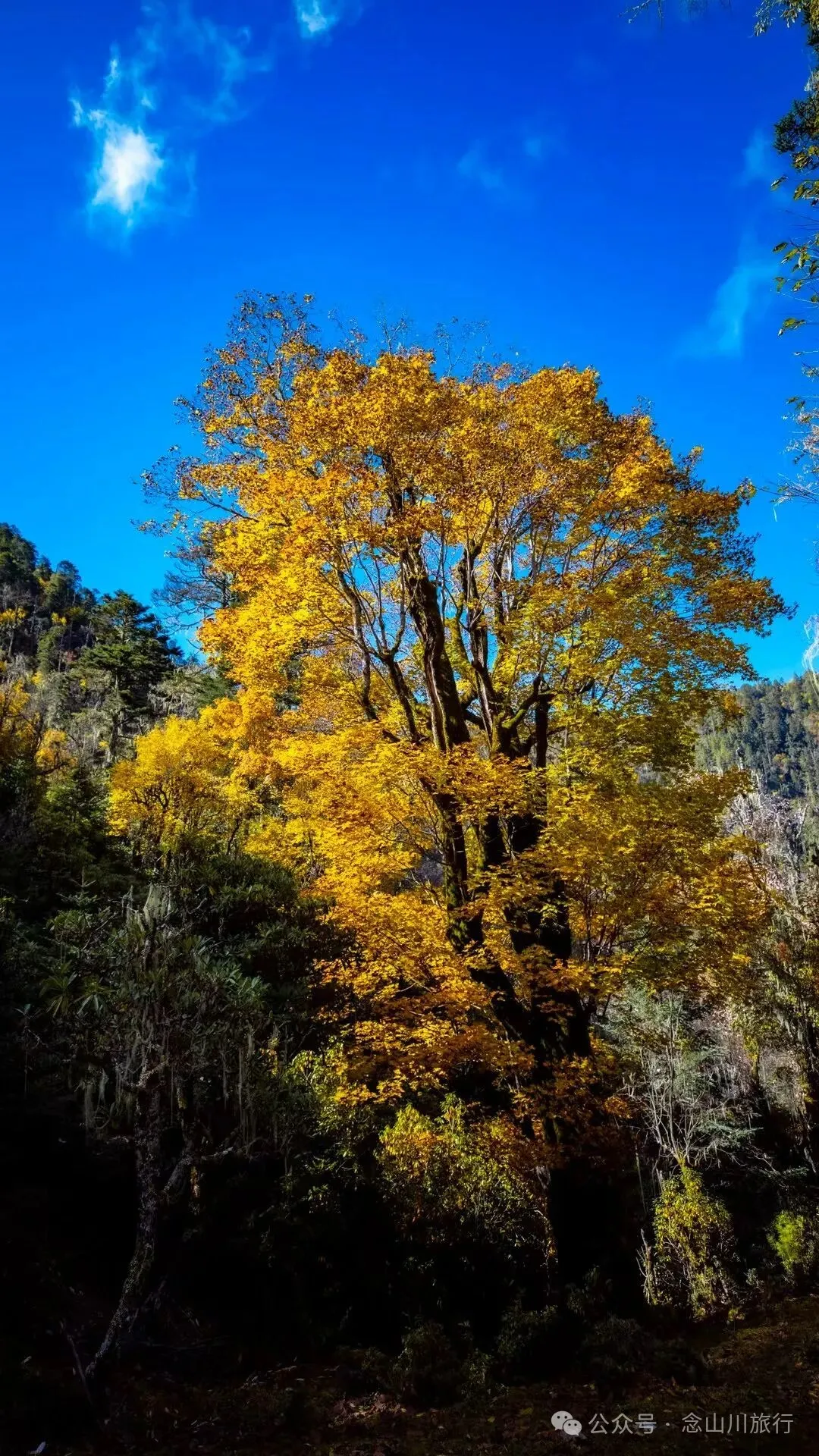 听说了，巴珠村的冬天才是赏秋色的最好时节 - 第20张