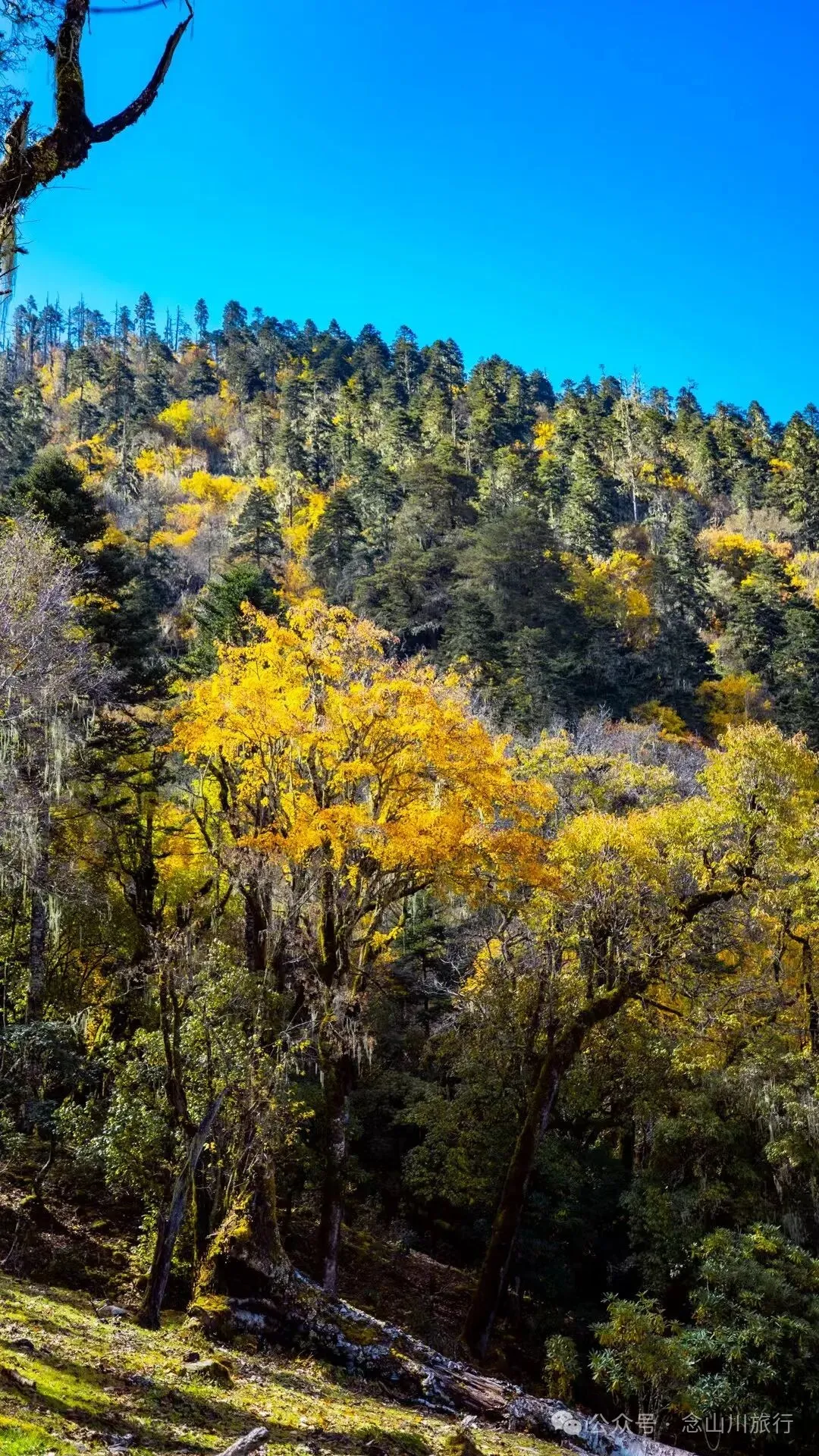 听说了，巴珠村的冬天才是赏秋色的最好时节 - 第21张