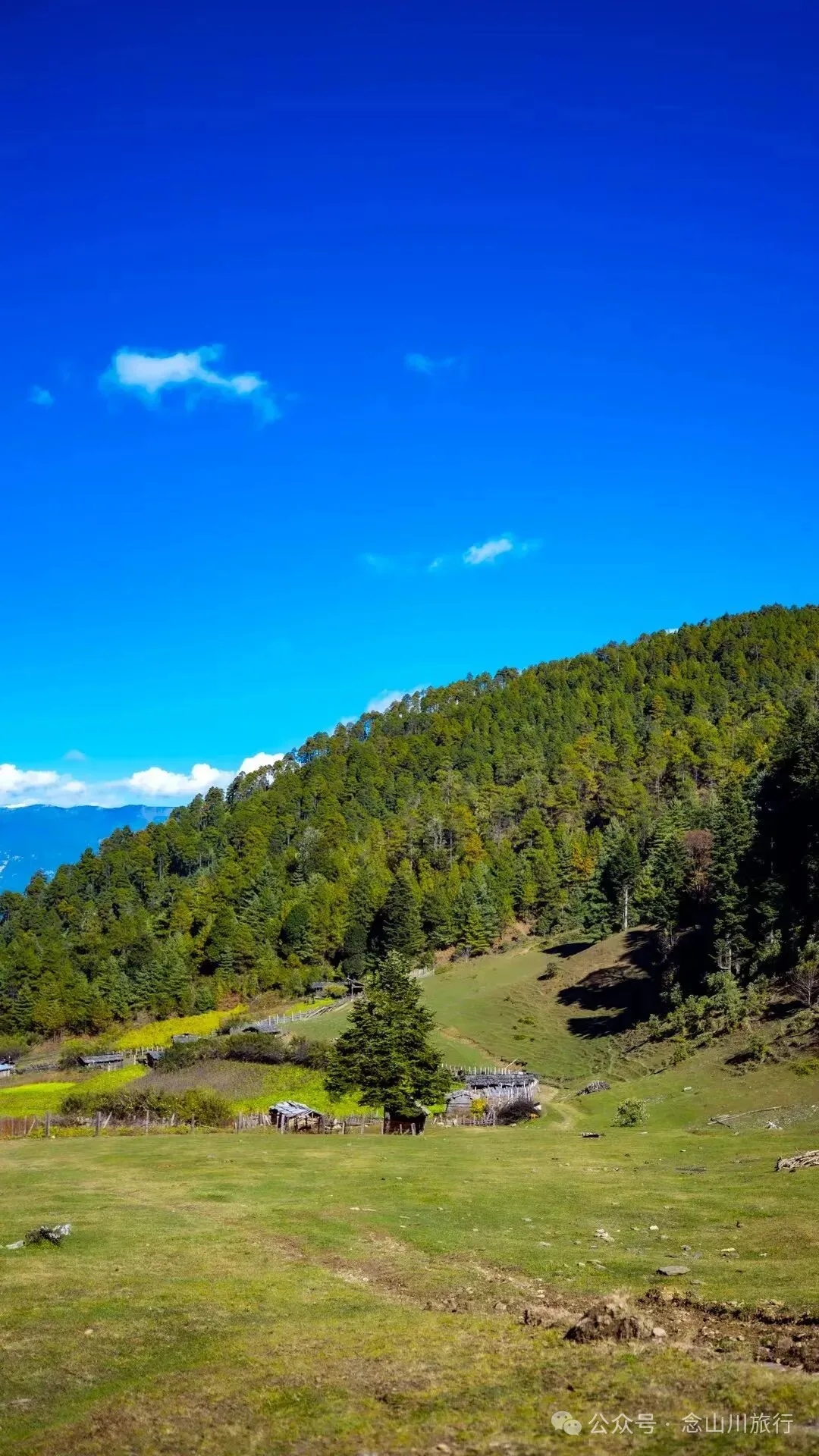 听说了，巴珠村的冬天才是赏秋色的最好时节 - 第22张