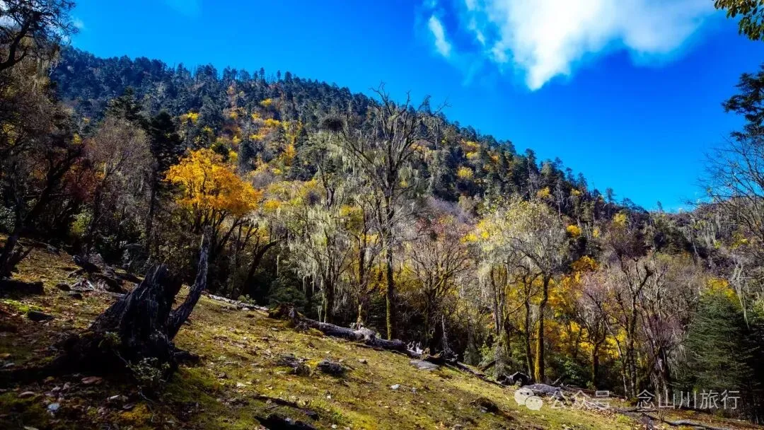 听说了，巴珠村的冬天才是赏秋色的最好时节 - 第3张